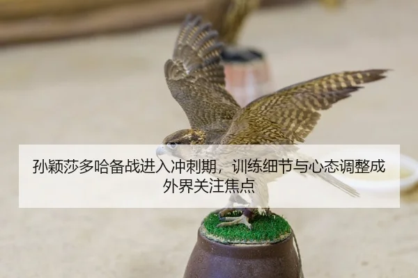 sun-ying-sha-duo-ha-bei-zhan-jin-ru-chong-ci-qi-xun-lian-xi-jie-yu-xin-tai-tiao-zheng-cheng-wai-jie-guan-zhu-jiao-dian-3-807.jpg