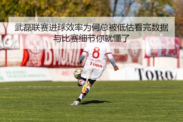 wu-lei-lian-sai-jin-qiu-xiao-lv-wei-he-zong-bei-di-gu-kan-wan-shu-ju-yu-bi-sai-xi-jie-ni-jiu-dong-le-3-317.jpg