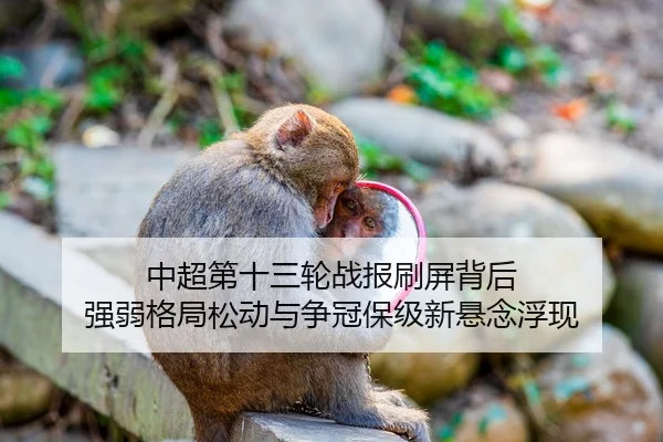 中超第十三轮战报刷屏背后 强弱格局松动与争冠保级新悬念浮现