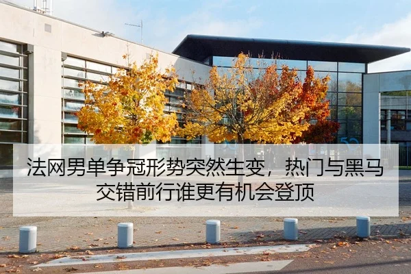 fa-wang-nan-dan-zheng-guan-xing-shi-tu-ran-sheng-bian-re-men-yu-hei-ma-jiao-cuo-qian-xing-shui-geng-you-ji-hui-deng-ding-2-872.jpg